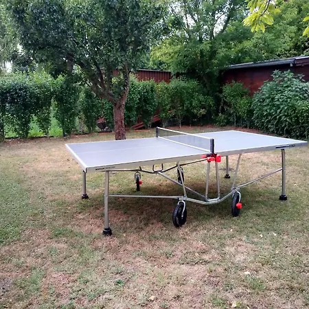 In 18431 Balatonfenyves