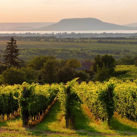 Σπίτι διακοπών In 18431 *