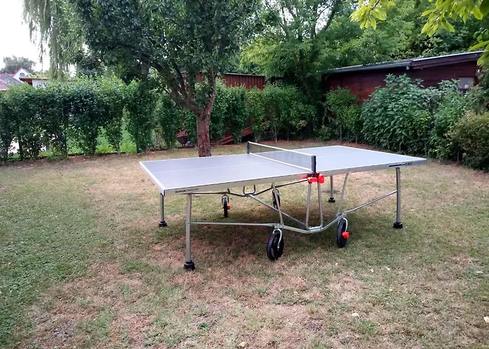 In 18431 Balatonfenyves