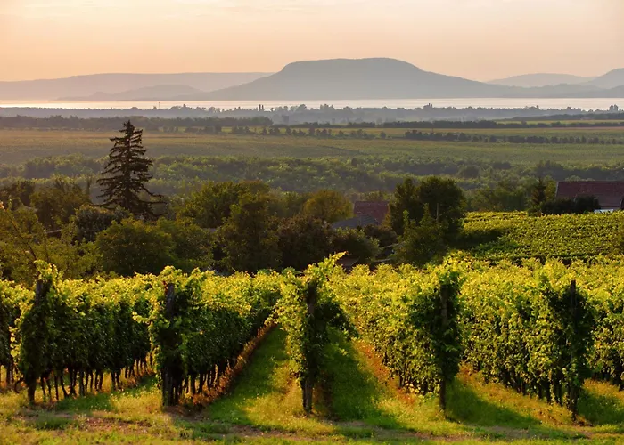 Vakantiehuis In 18431 *